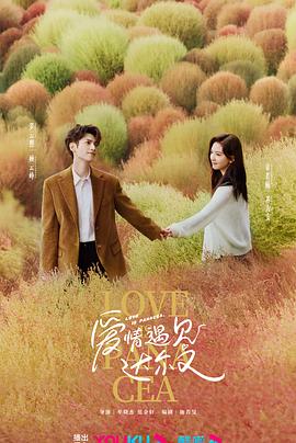 鄂城区网站做优化怎么样